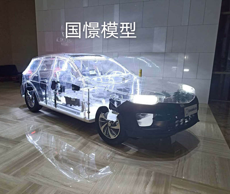 陇西县透明车模型