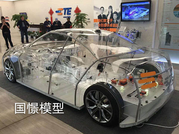 陇西县透明车模型